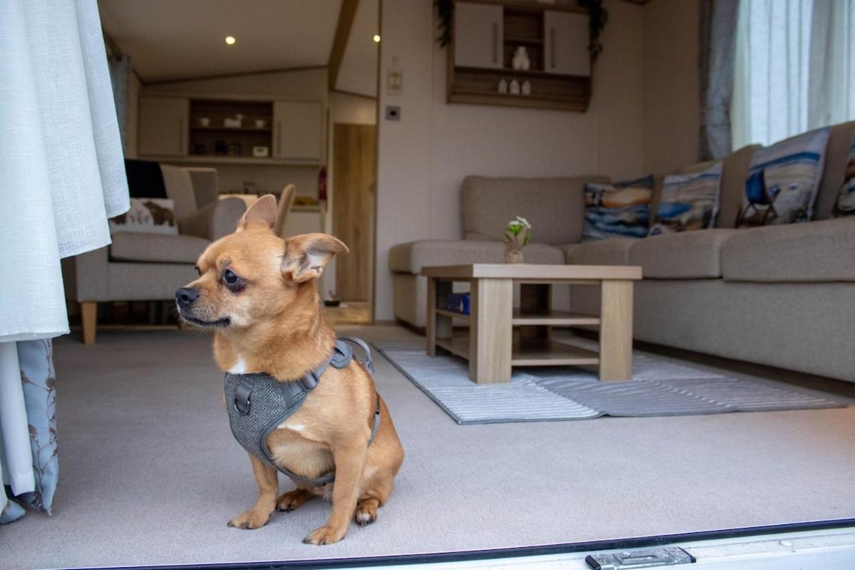 Eagle'S Den Caravan Lossiemouth Dış mekan fotoğraf